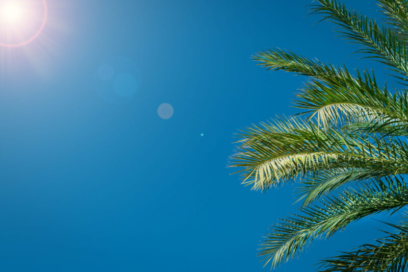 Feels like summer!